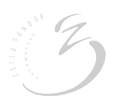 ZSILA-logo-20